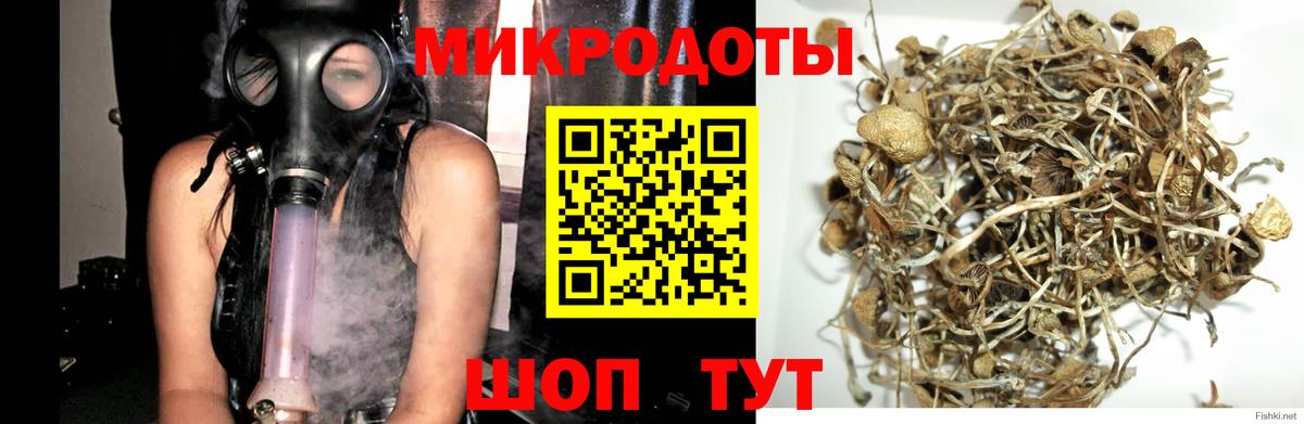 Галлюциногенные грибы прущие грибы Зеленокумск