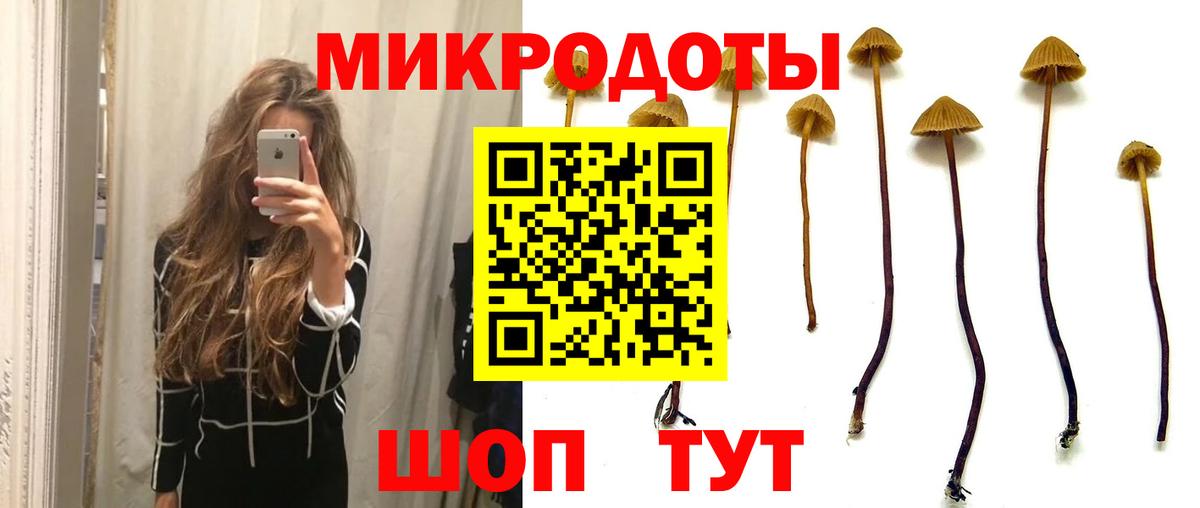 Зеленокумск  Псилоцибиновые грибы GOLDEN TEACHER  Вход с VPN 